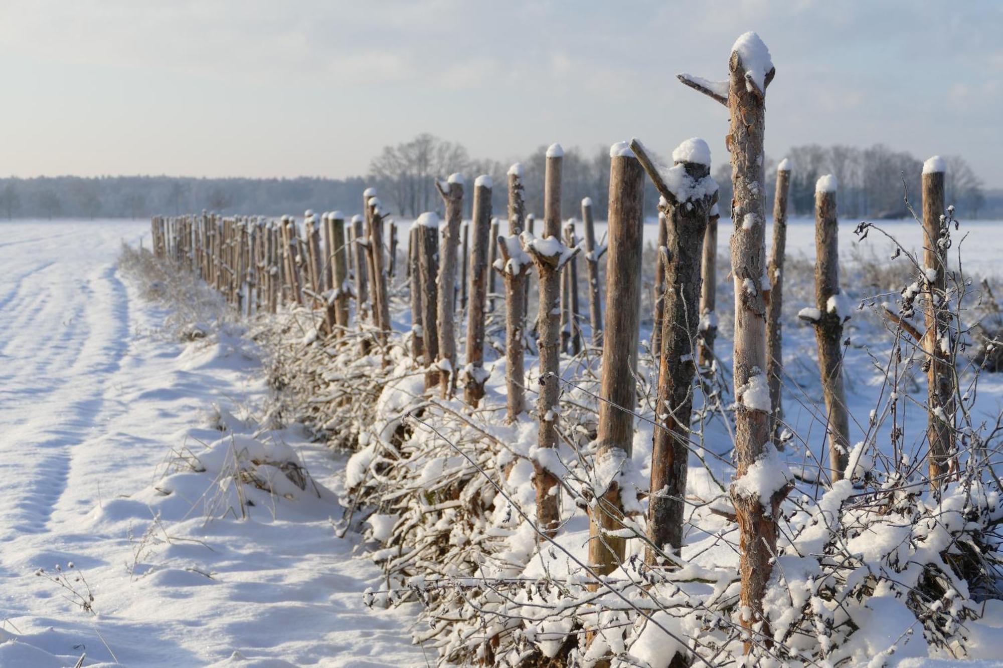 Naturgarten Karlsfeld In Der Schoenen Lausitz Welzow Kültér fotó